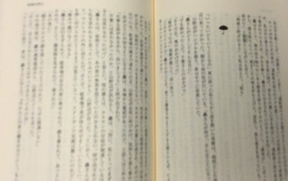 image-9d7d3.jpeg